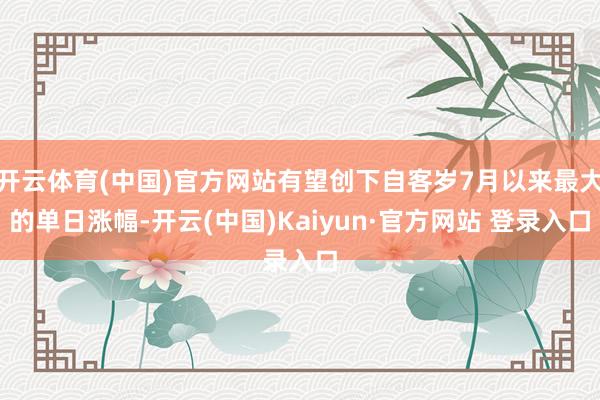 开云体育(中国)官方网站有望创下自客岁7月以来最大的单日涨幅