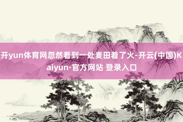 开yun体育网忽然看到一处麦田着了火-开云(中国)Kaiyu