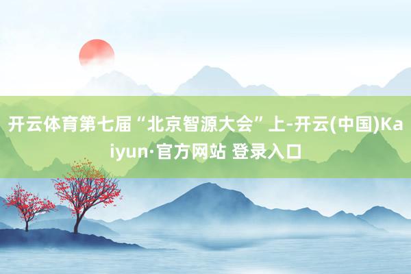 开云体育第七届“北京智源大会”上-开云(中国)Kaiyun·官方网站 登录入口