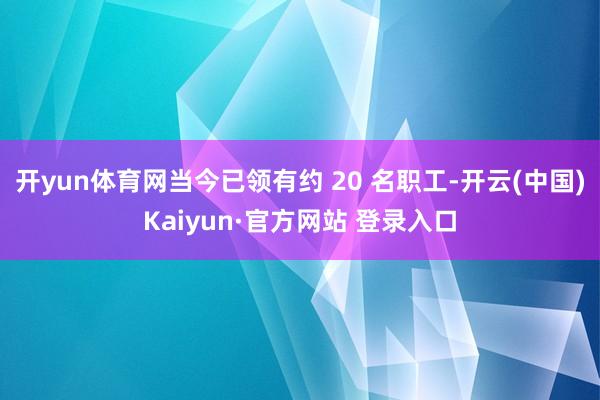 开yun体育网当今已领有约 20 名职工-开云(中国)Kaiyun·官方网站 登录入口
