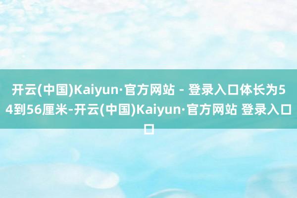 开云(中国)Kaiyun·官方网站 - 登录入口体长为54到56厘米-开云(中国)Kaiyun·官方网站 登录入口