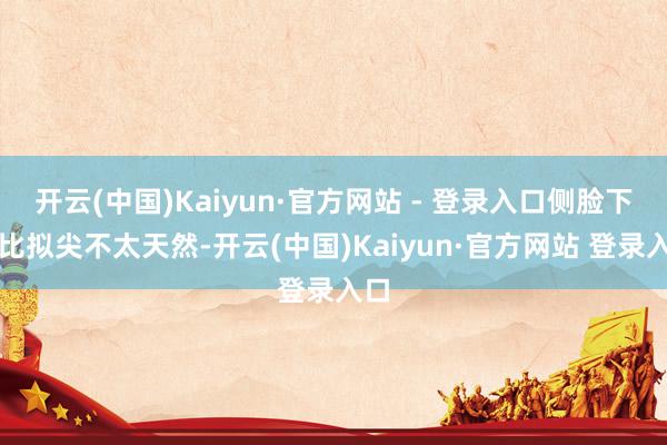 开云(中国)Kaiyun·官方网站 - 登录入口侧脸下巴比拟尖不太天然-开云(中国)Kaiyun·官方网站 登录入口