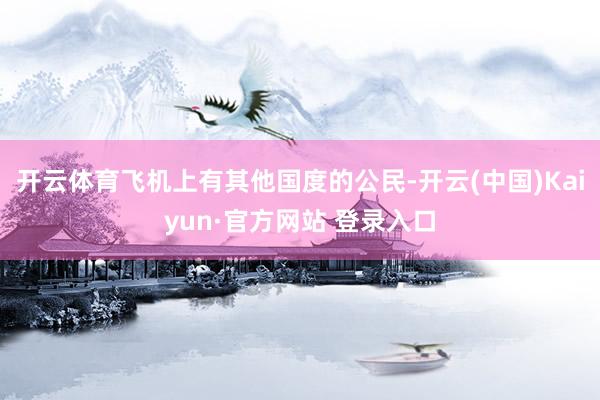 开云体育飞机上有其他国度的公民-开云(中国)Kaiyun·官方网站 登录入口
