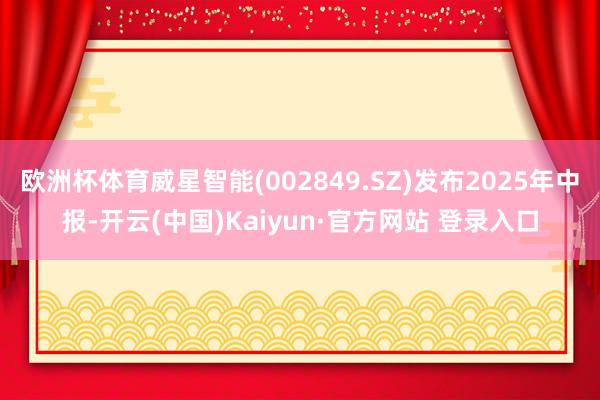 欧洲杯体育威星智能(002849.SZ)发布2025年中报-