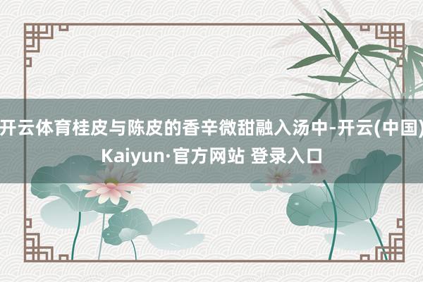 开云体育桂皮与陈皮的香辛微甜融入汤中-开云(中国)Kaiyu