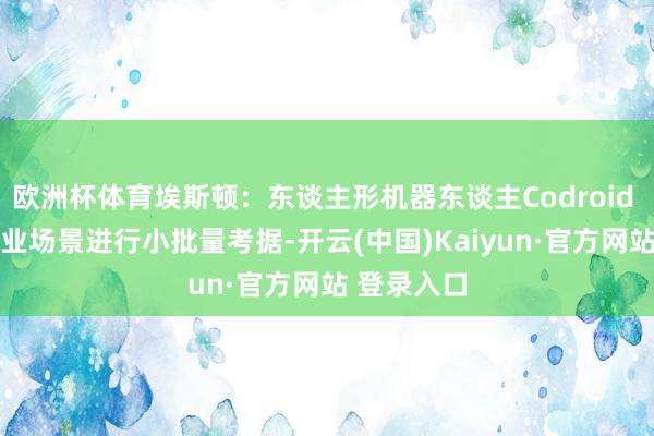 欧洲杯体育埃斯顿：东谈主形机器东谈主Codroid 02正在