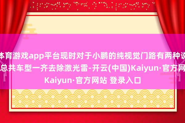 体育游戏app平台现时对于小鹏的纯视觉门路有两种说法： 1.来岁总共车型一齐去除激光雷-开云(中国)Kaiyun·官方网站 登录入口