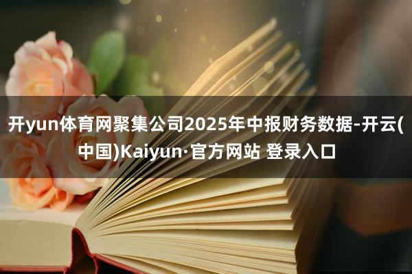 开yun体育网聚集公司2025年中报财务数据-开云(中国)K 开yun体育网聚集公司2025年中报财务数据-开云(中国)K