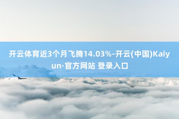 开云体育近3个月飞腾14.03%-开云(中国)Kaiyun·官方网站 登录入口