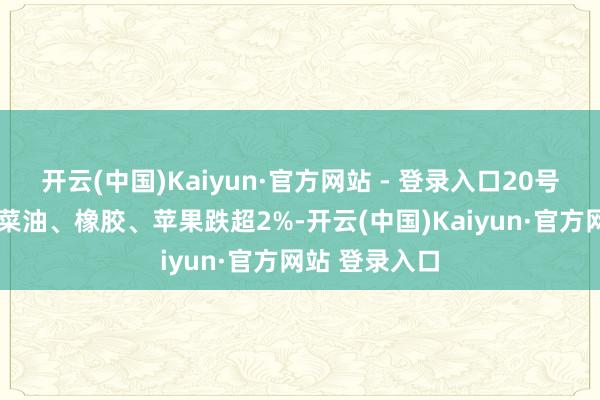 开云(中国)Kaiyun·官方网站 - 登录入口20号胶（N
