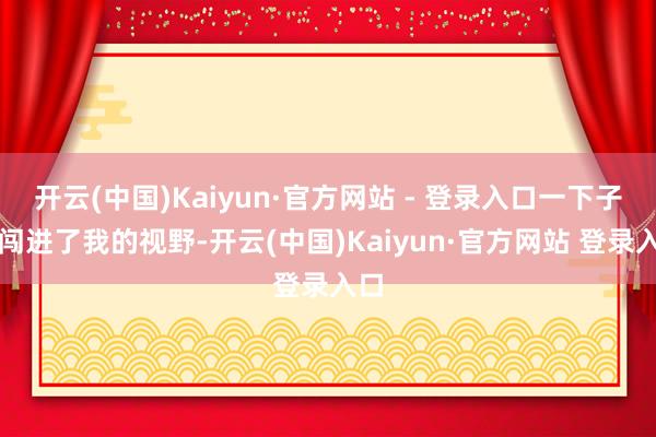 开云(中国)Kaiyun·官方网站 - 登录入口一下子就闯进