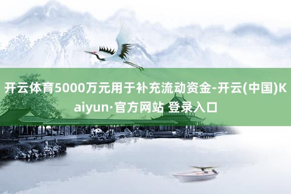 开云体育5000万元用于补充流动资金-开云(中国)Kaiyu