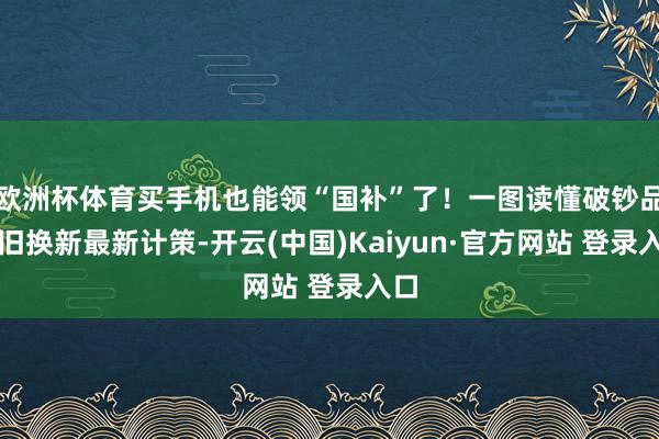 欧洲杯体育买手机也能领“国补”了！一图读懂破钞品以旧换新最新计策-开云(中国)Kaiyun·官方网站 登录入口