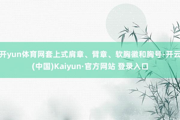 开yun体育网套上式肩章、臂章、软胸徽和胸号-开云(中国)K