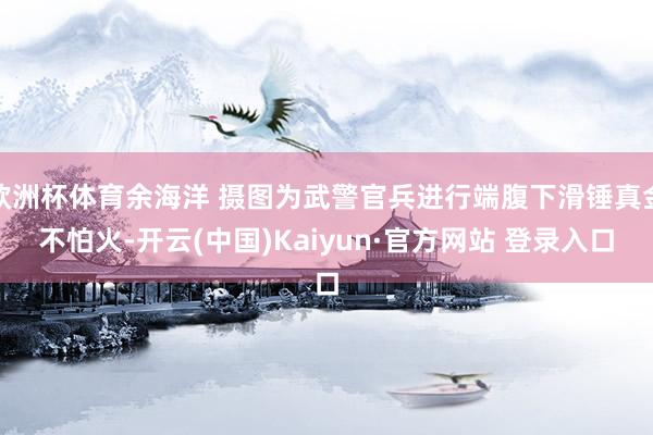 欧洲杯体育余海洋 摄图为武警官兵进行端腹下滑锤真金不怕火-开