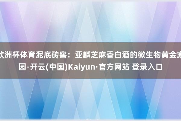 欧洲杯体育泥底砖窖：亚麟芝麻香白酒的微生物黄金家园-开云(中国)Kaiyun·官方网站 登录入口