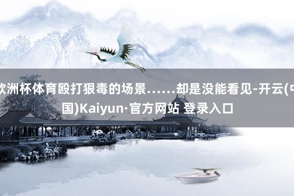 欧洲杯体育殴打狠毒的场景……却是没能看见-开云(中国)Kai