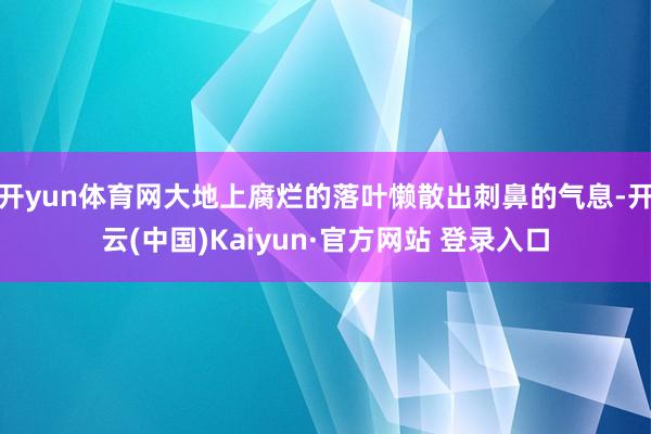 开yun体育网大地上腐烂的落叶懒散出刺鼻的气息-开云(中国)