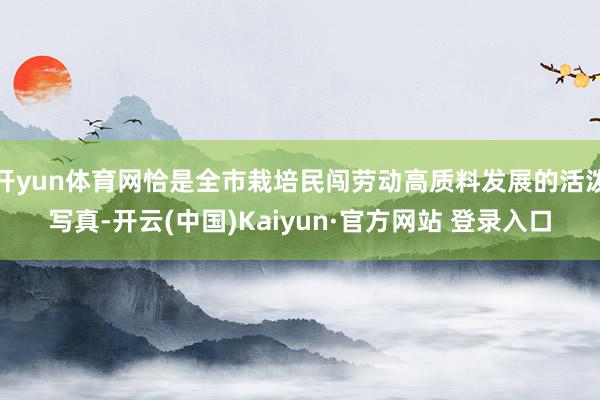 开yun体育网恰是全市栽培民闯劳动高质料发展的活泼写真-开云